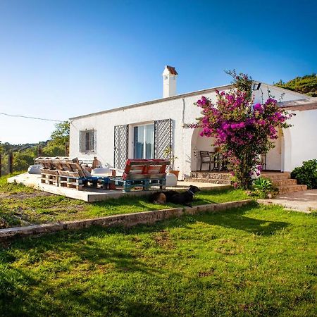 Albergue Wild House Tarifa Exterior foto