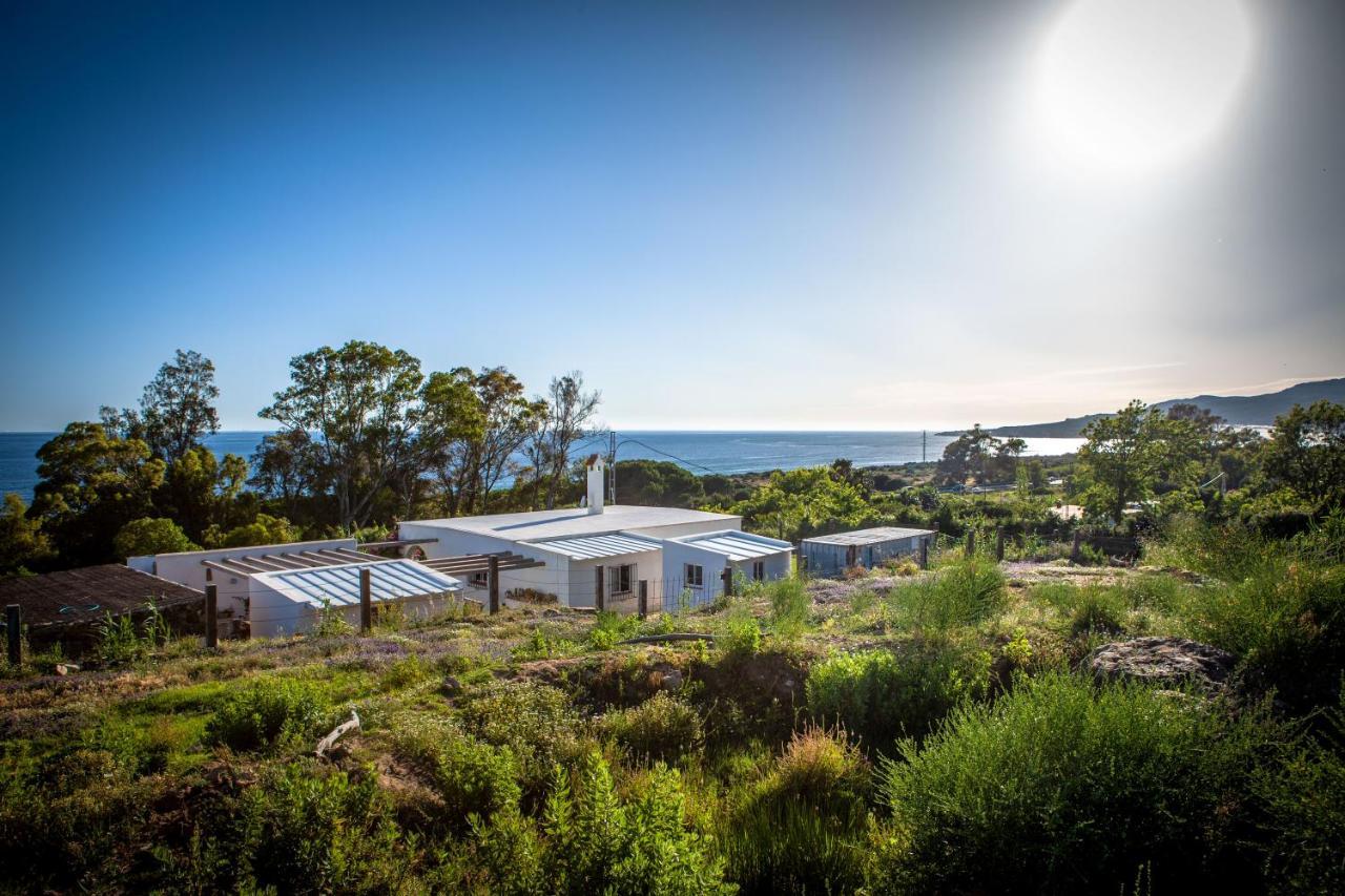 Albergue Wild House Tarifa Exterior foto